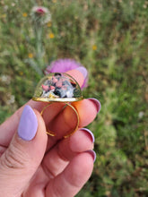 Load image into Gallery viewer, Real frog beetle terrarium statement ring
