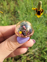 Load image into Gallery viewer, Real frog beetle terrarium statement ring
