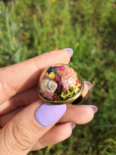 Load image into Gallery viewer, Real dogbane beetle terrarium statement ring
