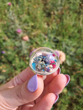 Load image into Gallery viewer, Real Jewel Weevil Terrarium statement ring
