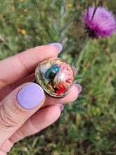 Load image into Gallery viewer, Real dogbane beetle terrarium statement ring
