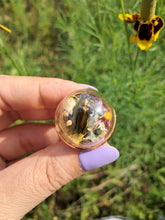 Load image into Gallery viewer, Real frog beetle terrarium statement ring
