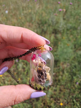 Cargar imagen en el visor de la galería, Real ladybug and bee terrarium necklace
