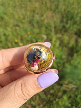 Load image into Gallery viewer, Real flower beetle terrarium statement ring
