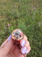 Load image into Gallery viewer, Real Jewel Weevil Terrarium statement ring
