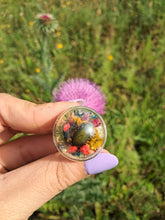 Load image into Gallery viewer, Real flower beetle terrarium statement ring
