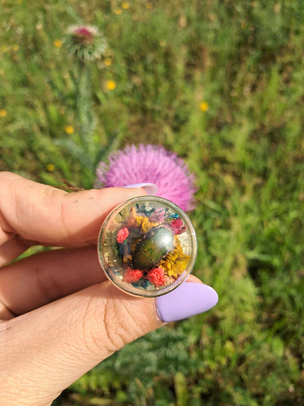 Real flower beetle terrarium statement ring