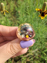 Load image into Gallery viewer, Real frog beetle terrarium statement ring
