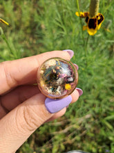 Load image into Gallery viewer, Real frog beetle terrarium statement ring
