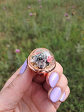 Load image into Gallery viewer, Real Jewel Weevil Terrarium statement ring
