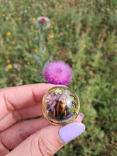 Cargar imagen en el visor de la galería, Real frog beetle terrarium statement ring
