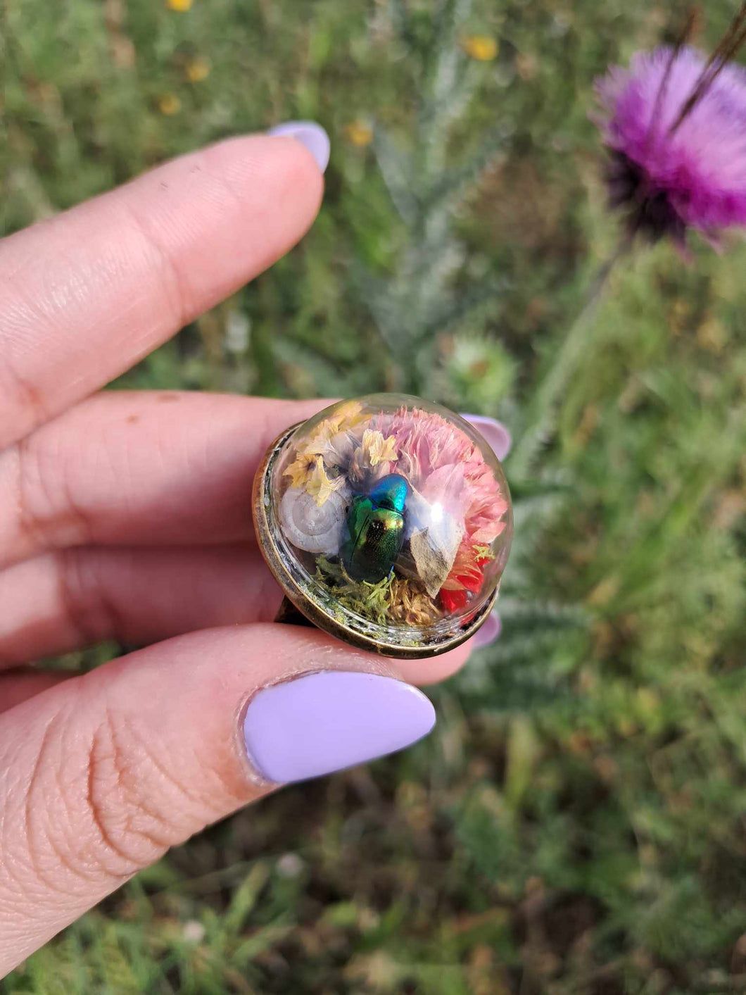 Real dogbane beetle terrarium statement ring