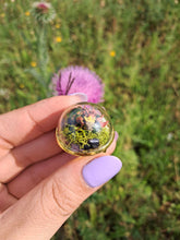 Load image into Gallery viewer, Real frog beetle terrarium statement ring
