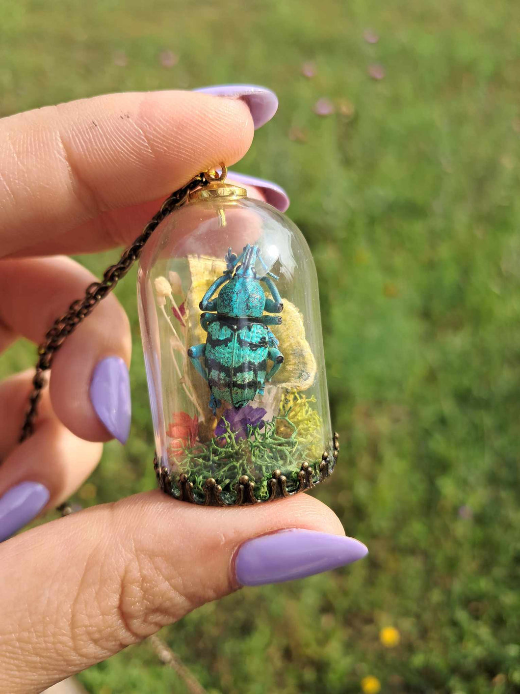 Real blue weevil terrarium statement necklace