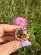 Load image into Gallery viewer, Real flower beetle terrarium statement ring
