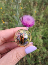 Load image into Gallery viewer, Real frog beetle terrarium statement ring
