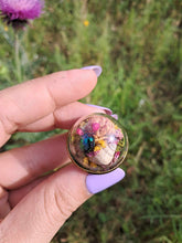 Load image into Gallery viewer, Real dogbane beetle terrarium statement ring
