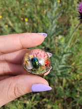 Load image into Gallery viewer, Real dogbane beetle terrarium statement ring
