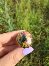 Load image into Gallery viewer, Real dogbane beetle terrarium statement ring
