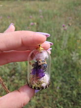 Load image into Gallery viewer, Real mason bee terrarium necklace ethically sourced
