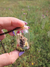 Cargar imagen en el visor de la galería, Real ladybug and bee terrarium necklace
