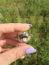 Load image into Gallery viewer, Real flower beetle terrarium statement ring
