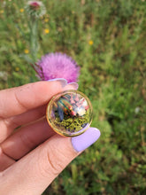 Load image into Gallery viewer, Real frog beetle terrarium statement ring
