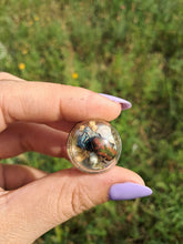 Load image into Gallery viewer, Real flower beetle terrarium statement ring
