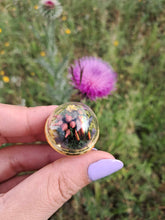 Load image into Gallery viewer, Real frog beetle terrarium statement ring
