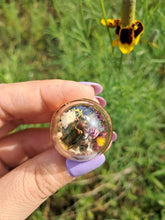 Load image into Gallery viewer, Real frog beetle terrarium statement ring
