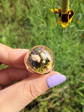 Load image into Gallery viewer, Real frog beetle terrarium statement ring
