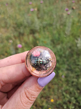 Load image into Gallery viewer, Real Jewel Weevil Terrarium statement ring
