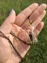 Cargar imagen en el visor de la galería, Real ladybug and bee terrarium necklace
