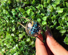 गैलरी व्यूवर में इमेज लोड करें, Blue weevil terrarium cuff bracelet real insect jewelry art handmade entomology unique gift nature inspired
