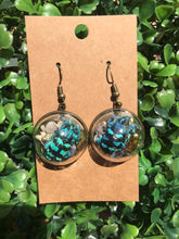 Load image into Gallery viewer, Real blue weevil terrarium earrings
