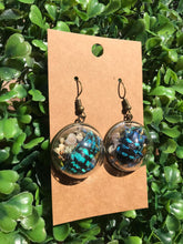 Load image into Gallery viewer, Real blue weevil terrarium earrings
