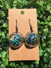 Load image into Gallery viewer, Real blue weevil terrarium earrings
