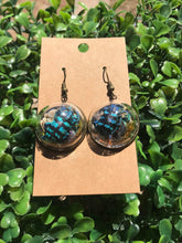 Load image into Gallery viewer, Real blue weevil terrarium earrings
