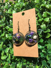 Load image into Gallery viewer, Real Dogbane Beetle terrarium earrings
