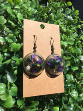 Load image into Gallery viewer, Real Dogbane Beetle terrarium earrings
