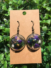 Load image into Gallery viewer, Real Dogbane Beetle terrarium earrings
