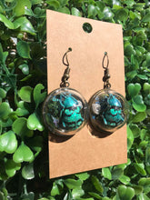 Load image into Gallery viewer, Real blue weevil terrarium earrings
