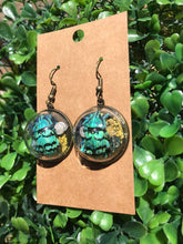 Load image into Gallery viewer, Real blue weevil terrarium earrings
