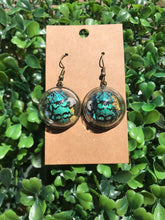 Load image into Gallery viewer, Real blue weevil terrarium earrings
