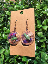 Load image into Gallery viewer, Real Gold Dust weevil terrarium earrings
