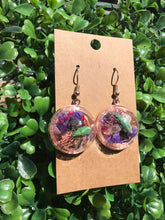 Load image into Gallery viewer, Real Gold Dust weevil terrarium earrings
