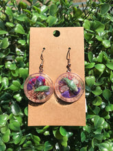 Load image into Gallery viewer, Real Gold Dust weevil terrarium earrings
