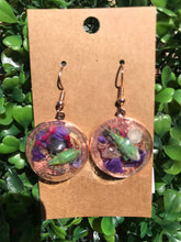 Load image into Gallery viewer, Real Gold Dust weevil terrarium earrings
