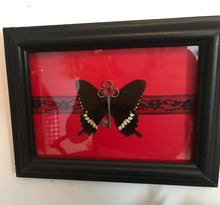 Load image into Gallery viewer, Real butterfly black red silver skeleton key entomology gift insect art curio specimen earthy handmade gothic macabre
