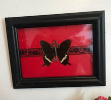 Load image into Gallery viewer, Real butterfly black red silver skeleton key entomology gift insect art curio specimen earthy handmade gothic macabre
